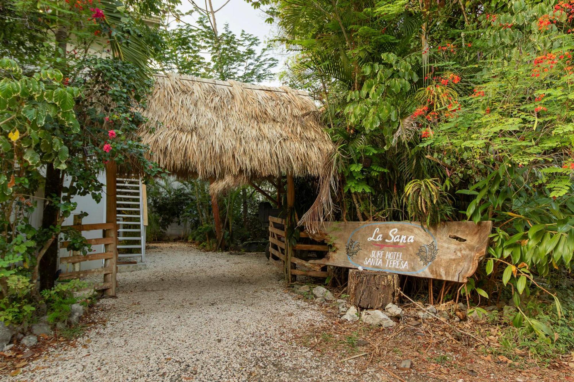 La Sana Surf Hotel, New Management, Few Mn Drive To The Beach Playa Santa Teresa  Экстерьер фото