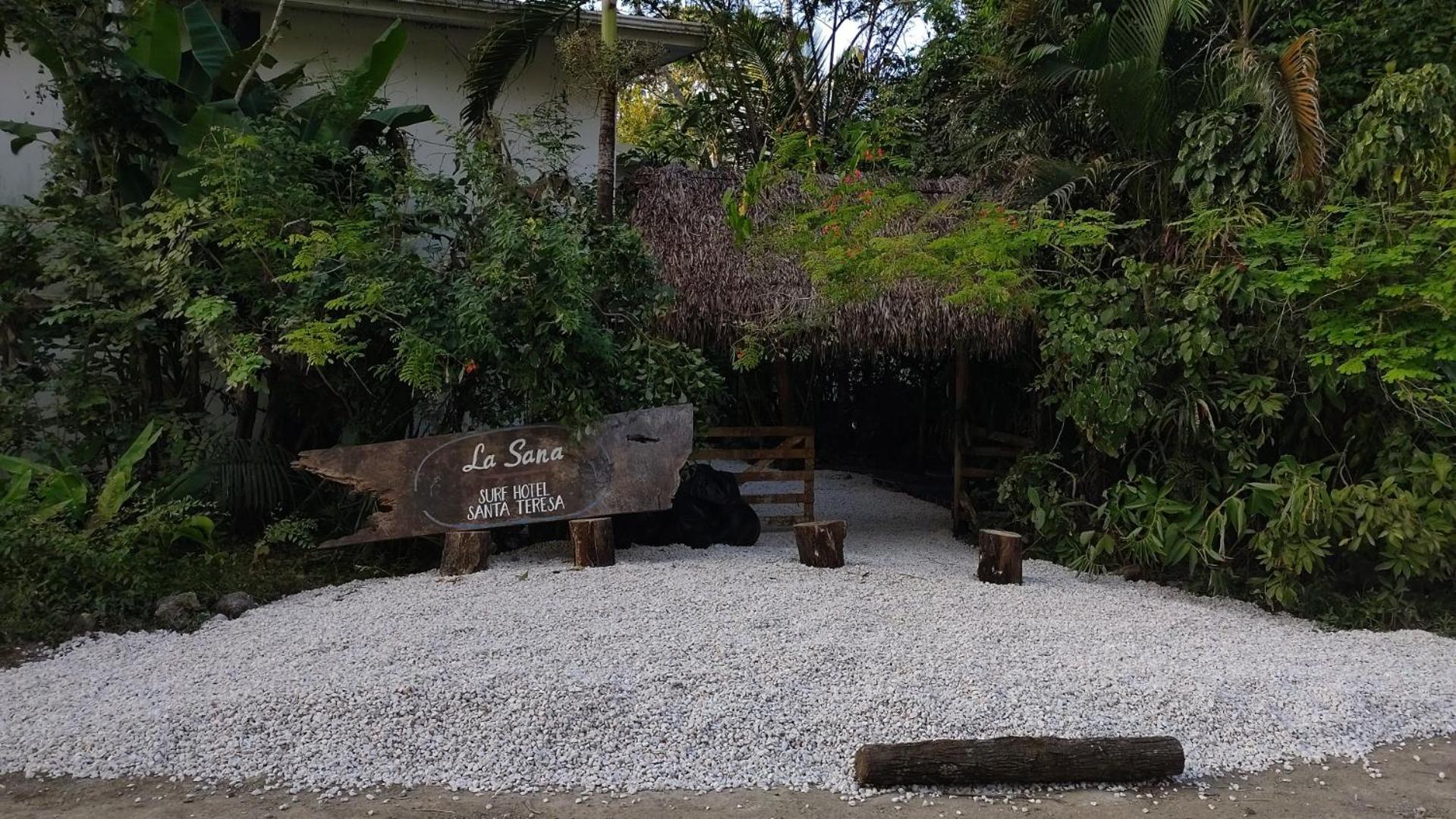 La Sana Surf Hotel, New Management, Few Mn Drive To The Beach Playa Santa Teresa  Экстерьер фото