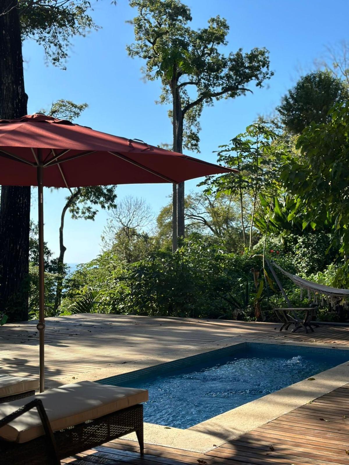 La Sana Surf Hotel, New Management, Few Mn Drive To The Beach Playa Santa Teresa  Экстерьер фото